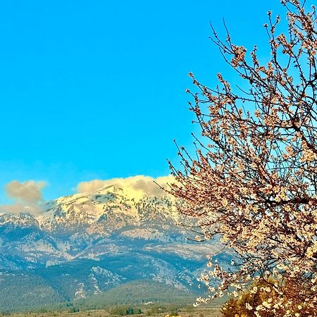 Villa Vasiliki Paliouras Zewnętrze zdjęcie