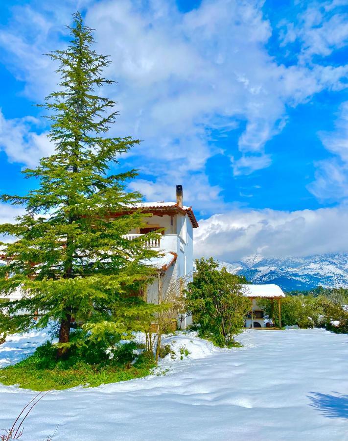 Villa Vasiliki Paliouras Zewnętrze zdjęcie