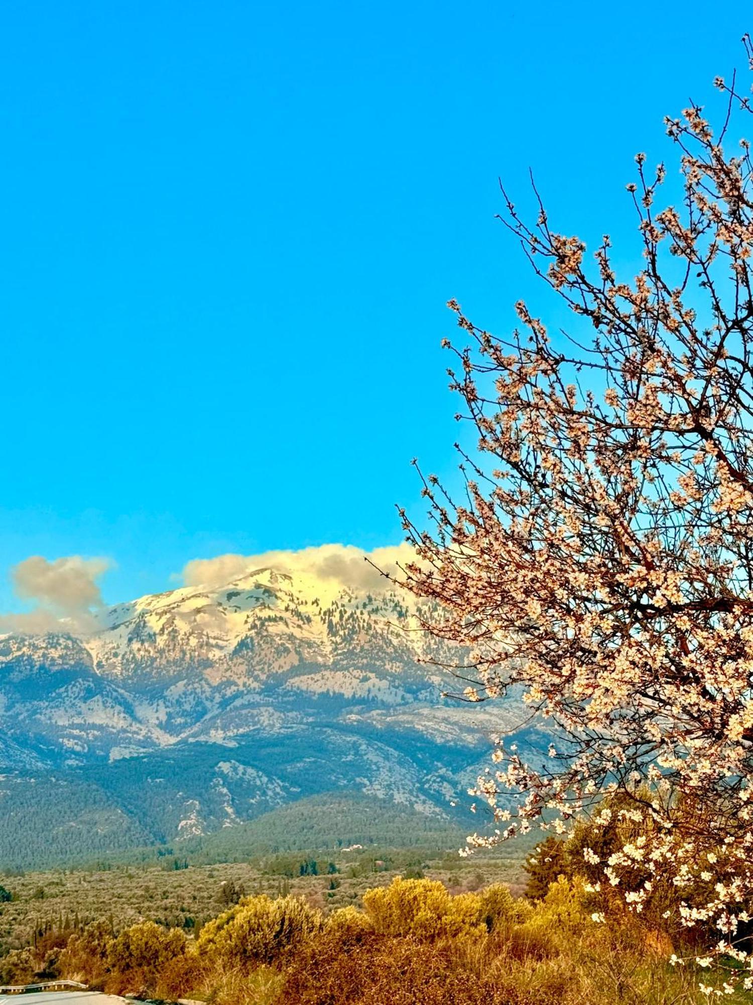 Villa Vasiliki Paliouras Zewnętrze zdjęcie