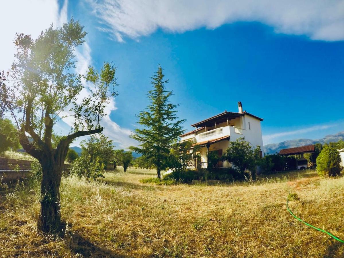 Villa Vasiliki Paliouras Zewnętrze zdjęcie