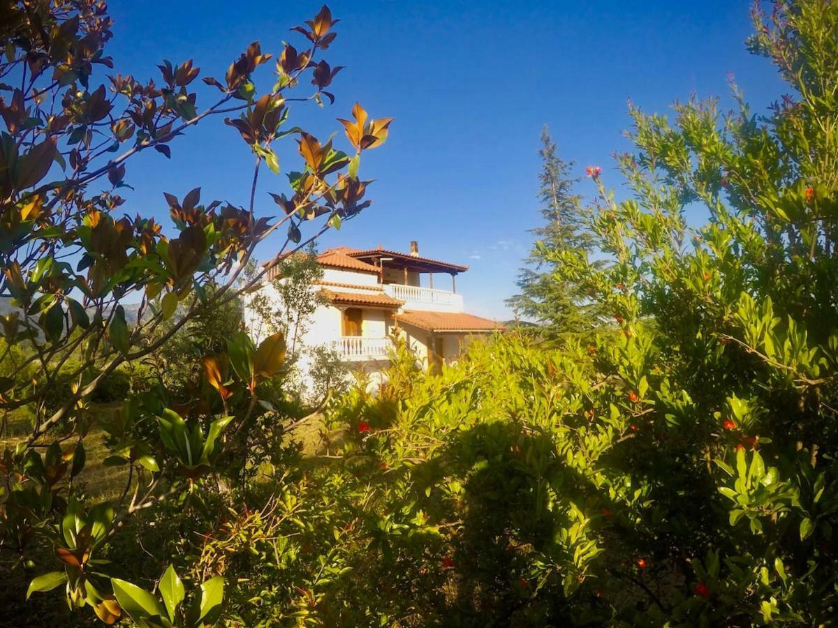 Villa Vasiliki Paliouras Zewnętrze zdjęcie