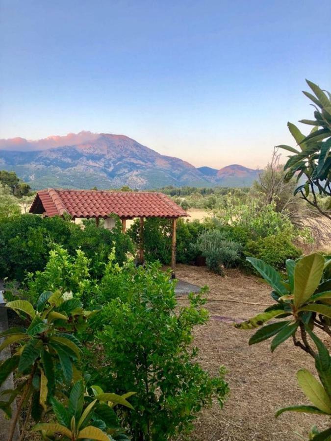 Villa Vasiliki Paliouras Zewnętrze zdjęcie
